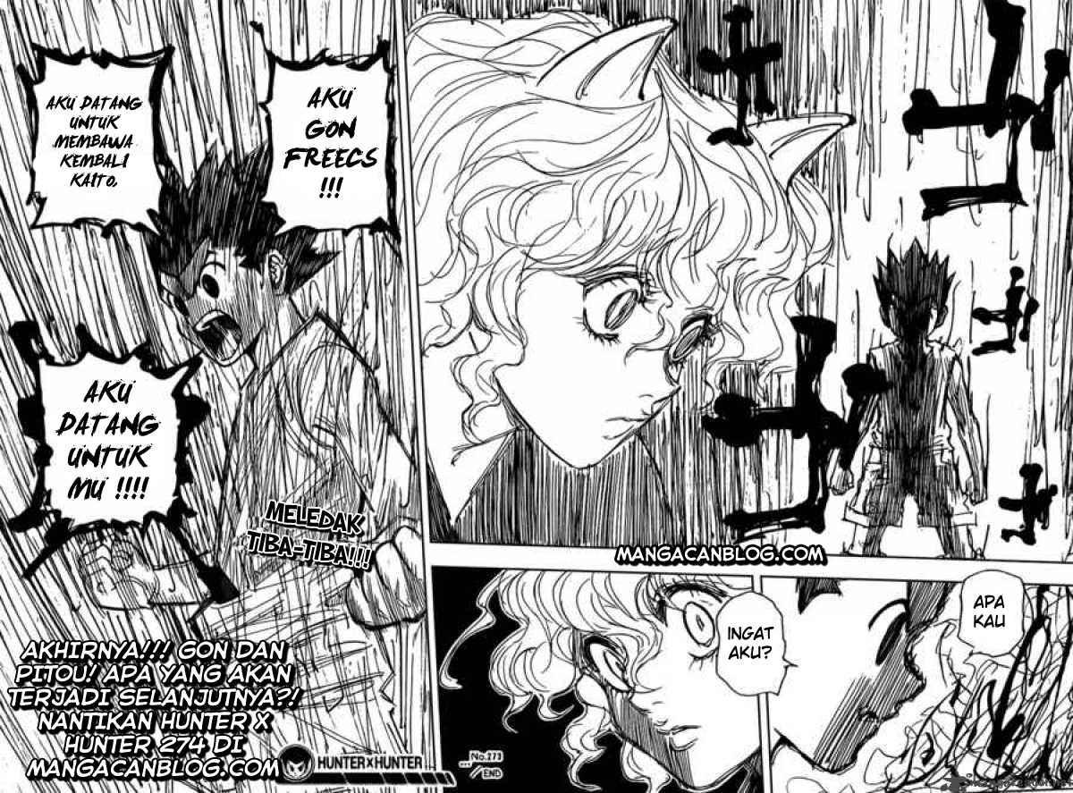 Hunter x Hunter Chapter 273 Bahasa Indonesia