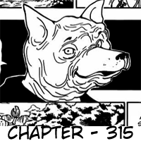 Hunter x Hunter Chapter 315 Bahasa Indonesia