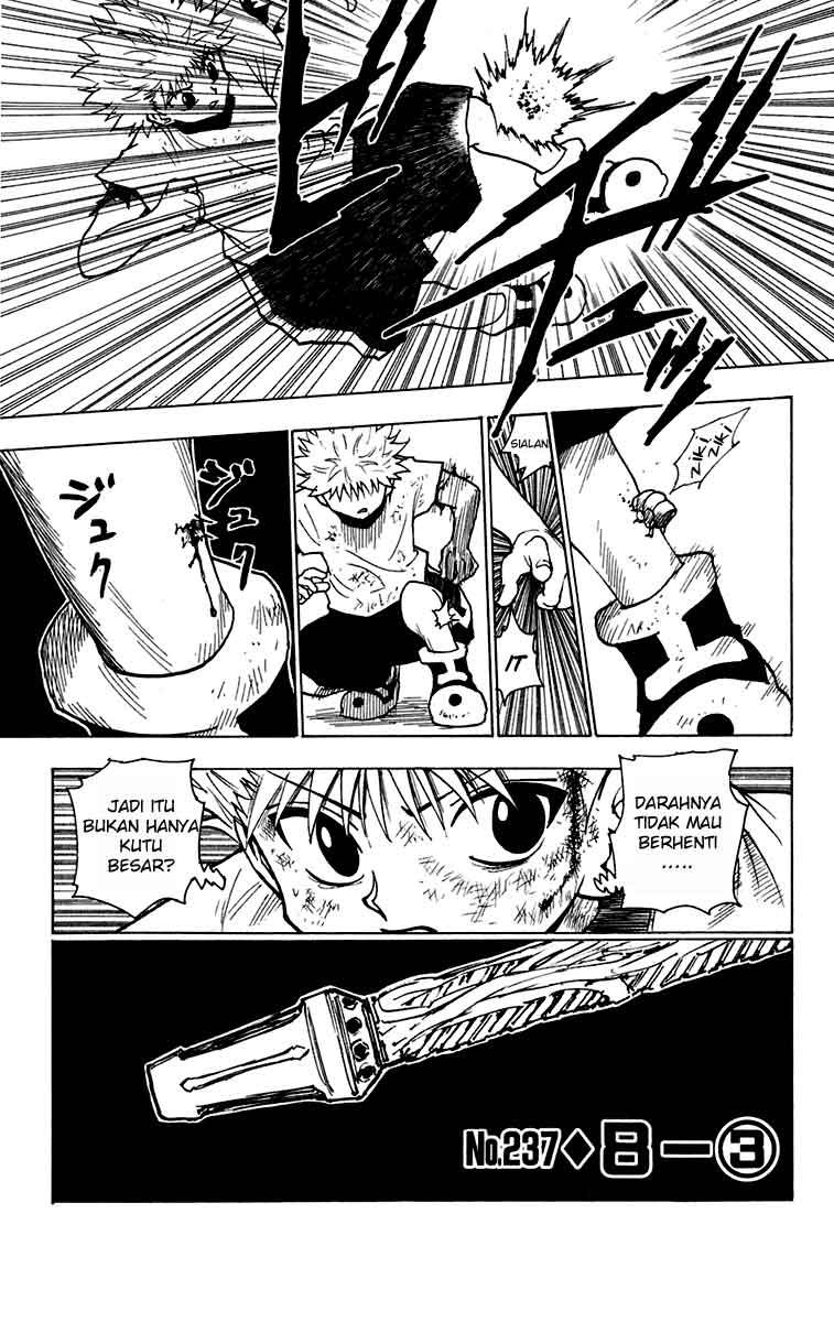 Hunter x Hunter Chapter 237 Bahasa Indonesia